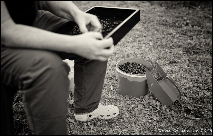 20140815-untitled shoot-Edit-Edit-Edit