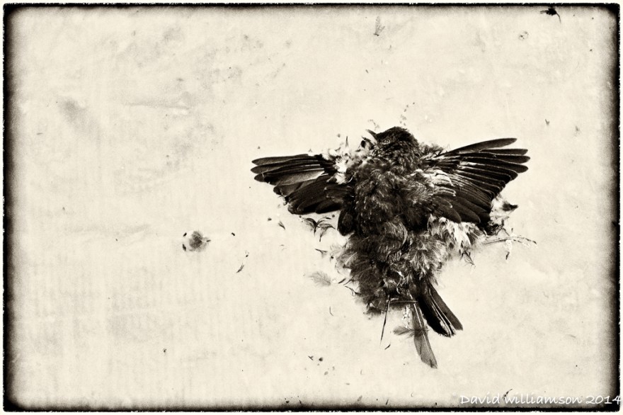 20121006-untitled shoot