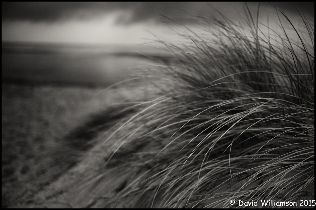 20150221-untitled shoot-13-Edit