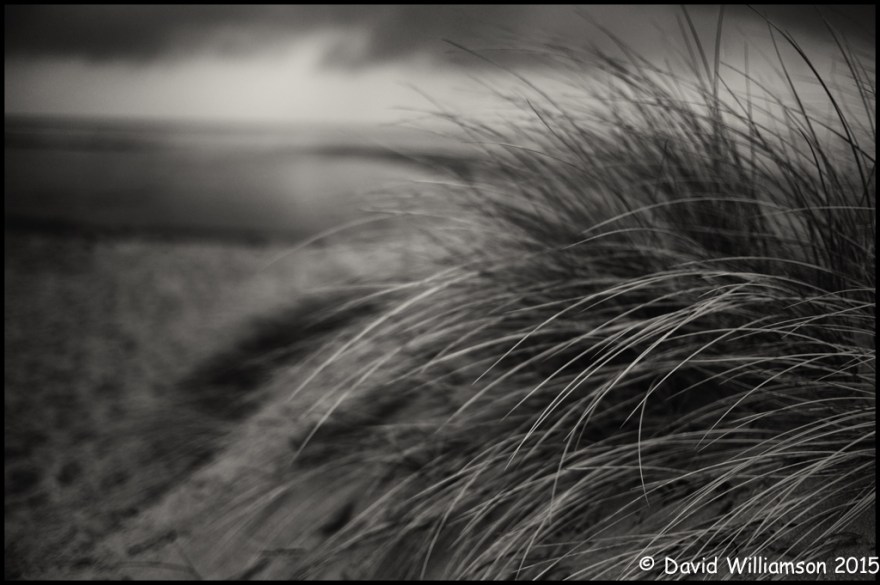 20150221-untitled shoot-13-Edit