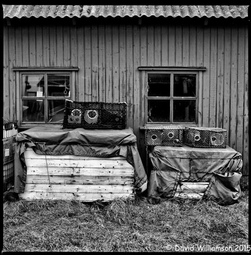 20150223-untitled shoot-7-Edit