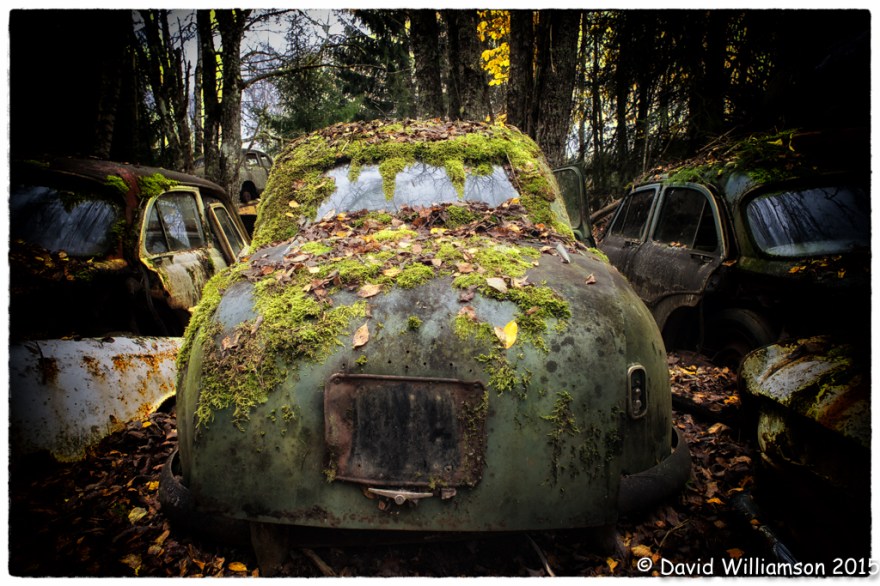 20151031-untitled shoot-59-Edit-Edit